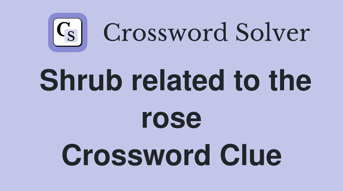 Shrub related to the rose Crossword Clue