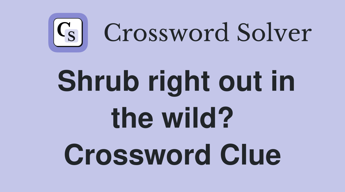Shrub right out in the wild? Crossword Clue