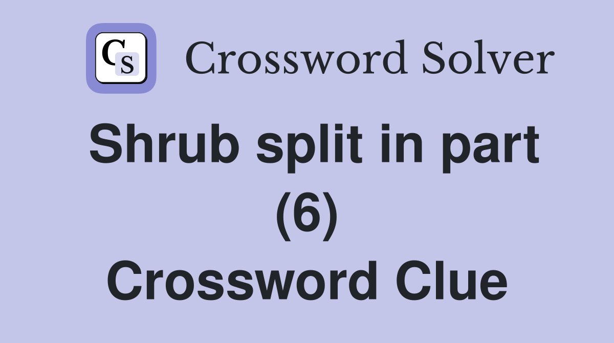 Shrub split in part (6) Crossword Clue
