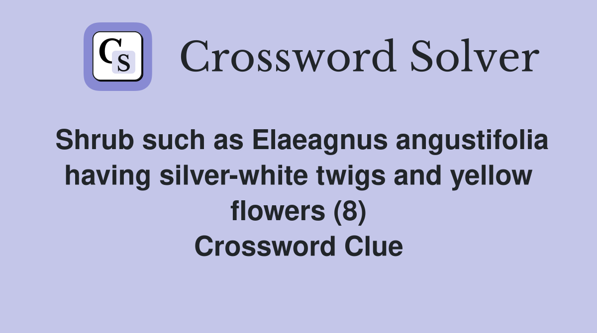 Shrub such as Elaeagnus angustifolia having silver-white twigs and yellow flowers (8) Crossword Clue