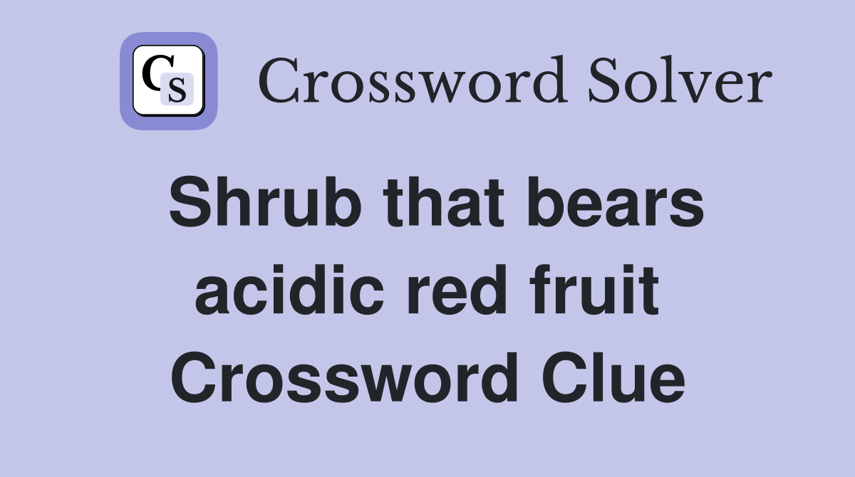 Shrub that bears acidic red fruit Crossword Clue