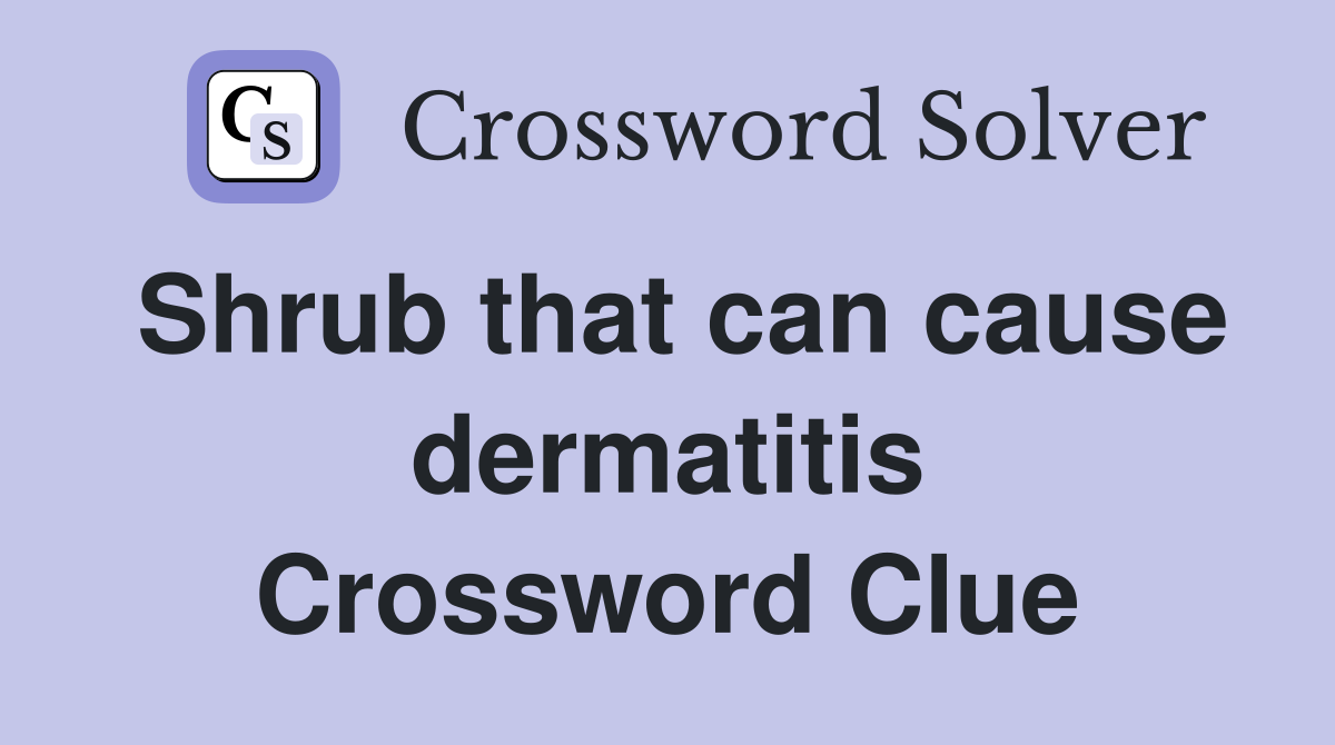 Shrub that can cause dermatitis Crossword Clue