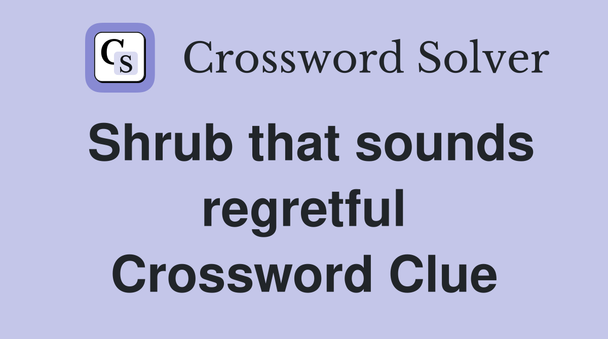Shrub that sounds regretful Crossword Clue