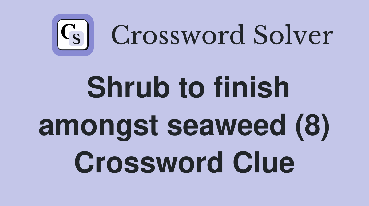 Shrub to finish amongst seaweed (8) Crossword Clue