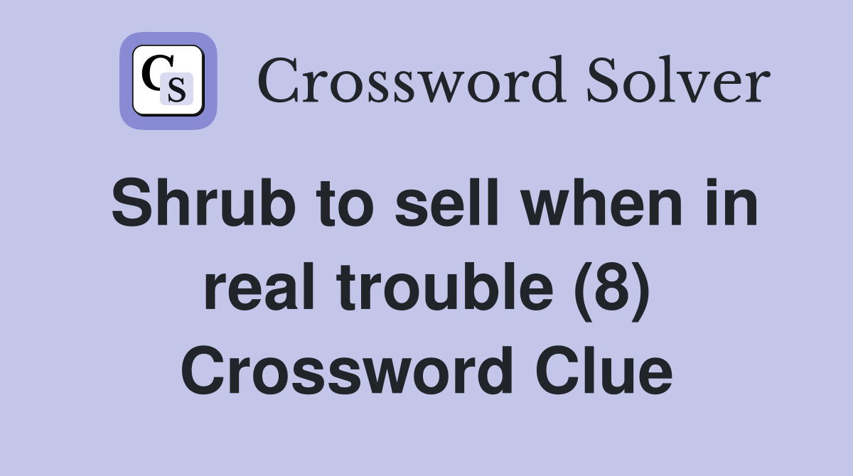 Shrub to sell when in real trouble (8) Crossword Clue