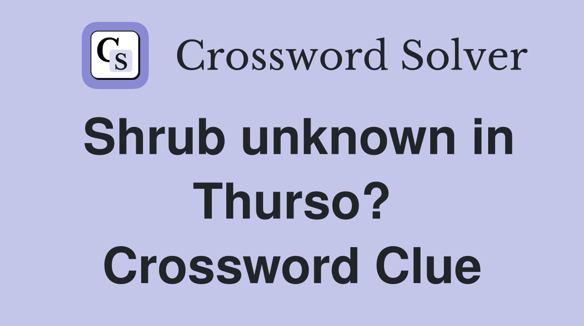 Shrub unknown in Thurso? Crossword Clue