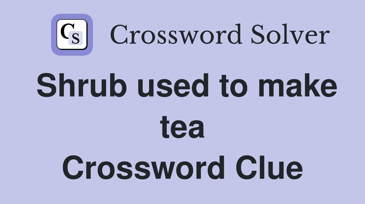 Shrub used to make tea Crossword Clue