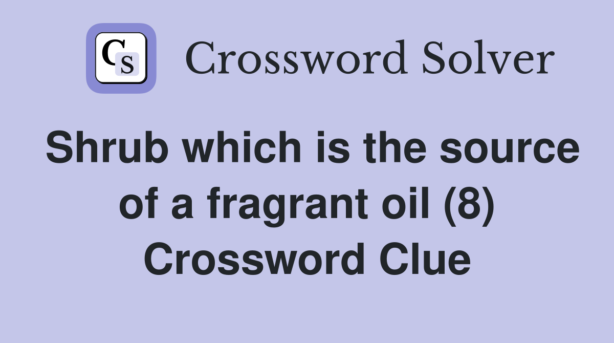 Shrub which is the source of a fragrant oil (8) Crossword Clue