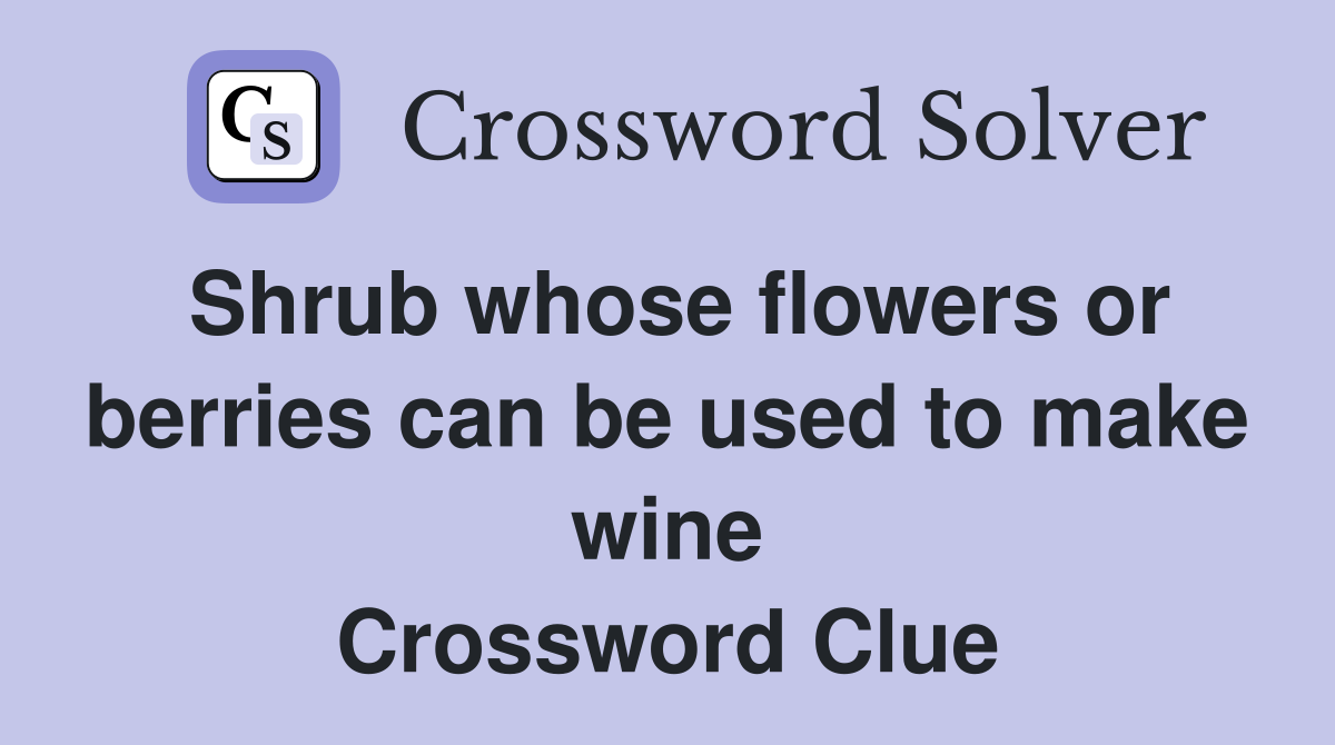 Shrub whose flowers or berries can be used to make wine Crossword Clue