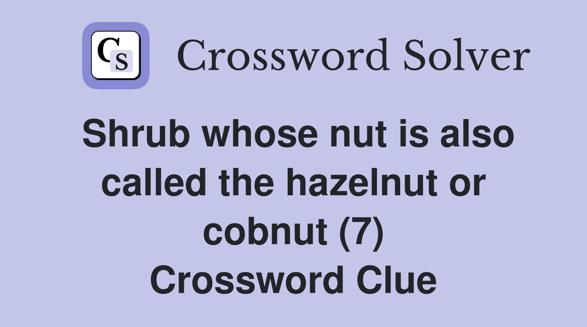 Shrub whose nut is also called the hazelnut or cobnut (7) Crossword Clue