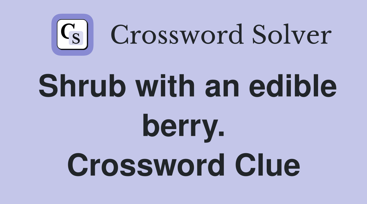 Shrub with an edible berry. Crossword Clue