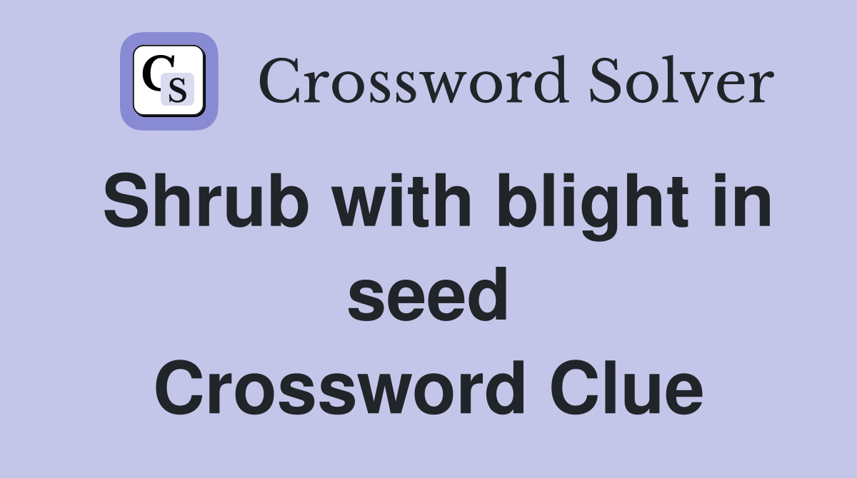 Shrub with blight in seed Crossword Clue