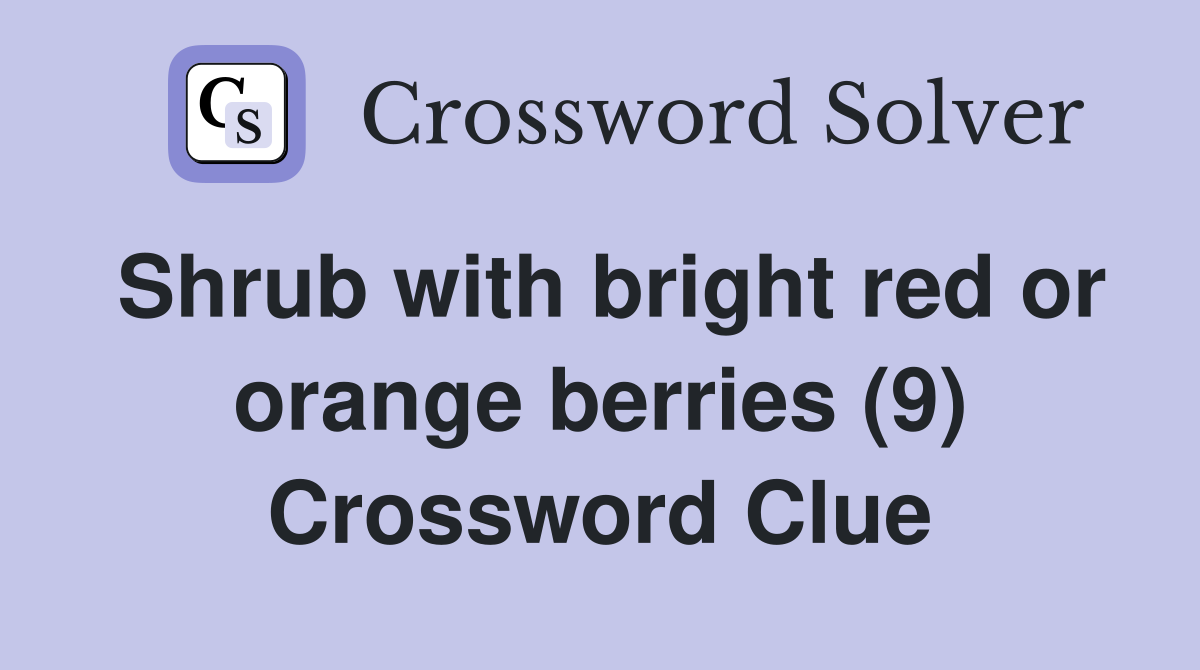 Shrub with bright red or orange berries (9) Crossword Clue