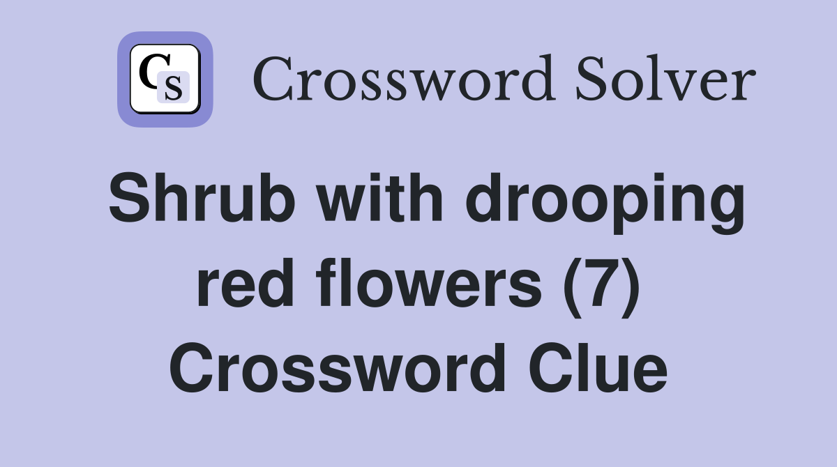 Shrub with drooping red flowers (7) Crossword Clue