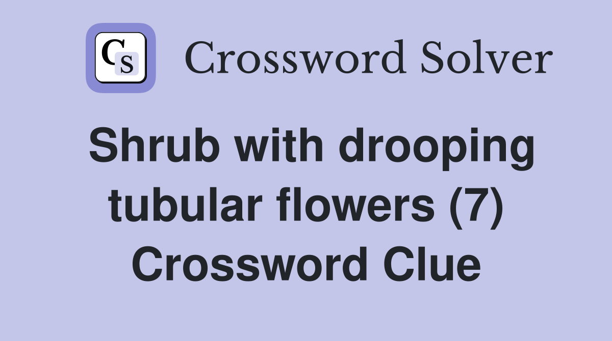 Shrub with drooping tubular flowers (7) Crossword Clue