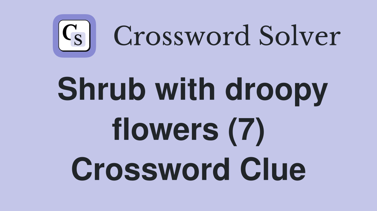 Shrub with droopy flowers (7) Crossword Clue