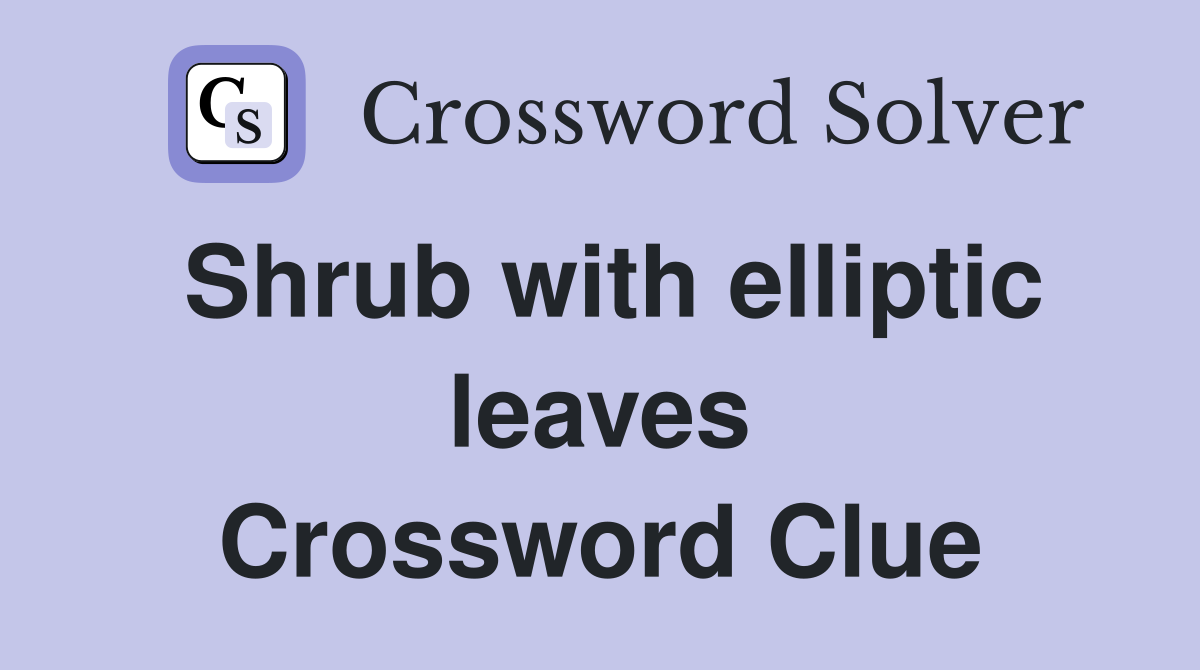 Shrub with elliptic leaves Crossword Clue