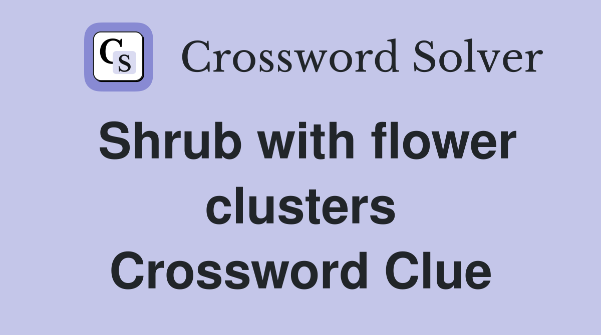 Shrub with flower clusters Crossword Clue
