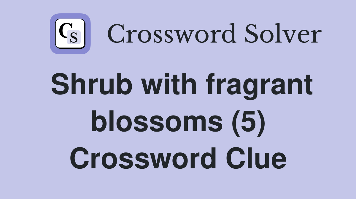 Shrub with fragrant blossoms (5) Crossword Clue