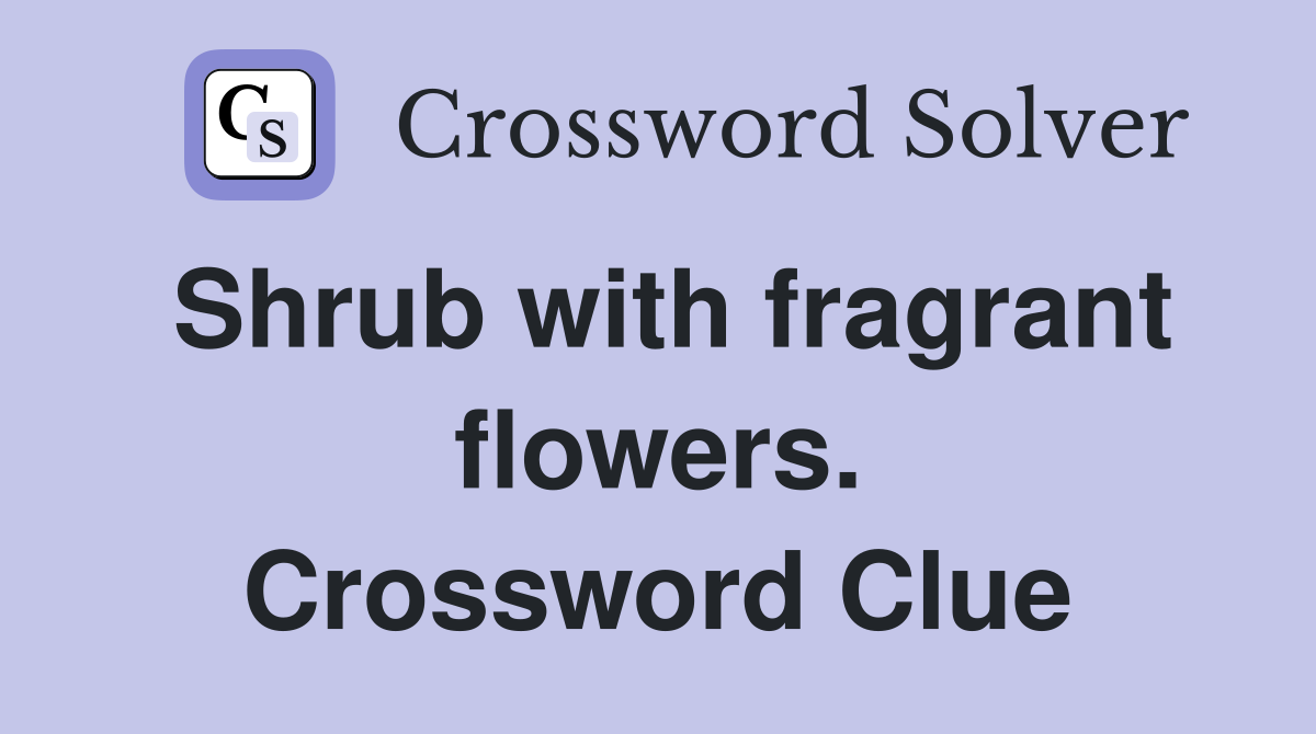Shrub with fragrant flowers. Crossword Clue