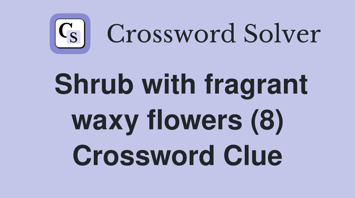 Shrub with fragrant waxy flowers (8) Crossword Clue