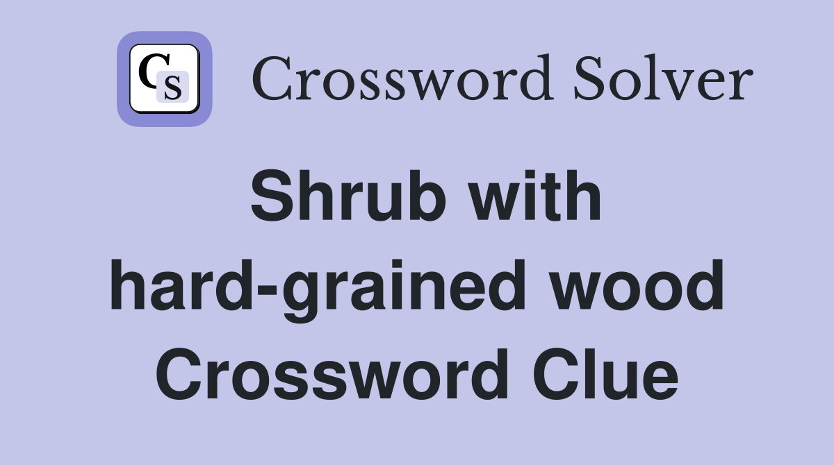 Shrub with hard-grained wood Crossword Clue