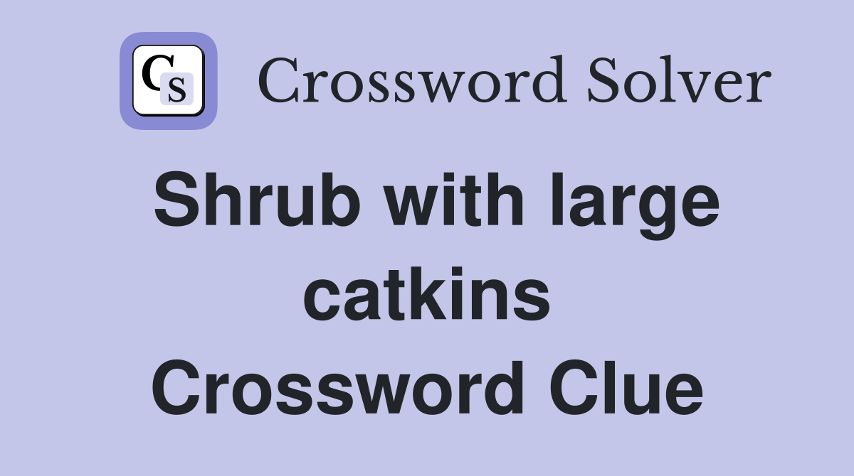 Shrub with large catkins Crossword Clue