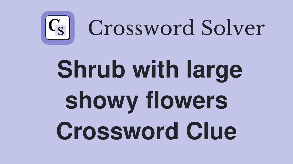 Shrub with large showy flowers Crossword Clue