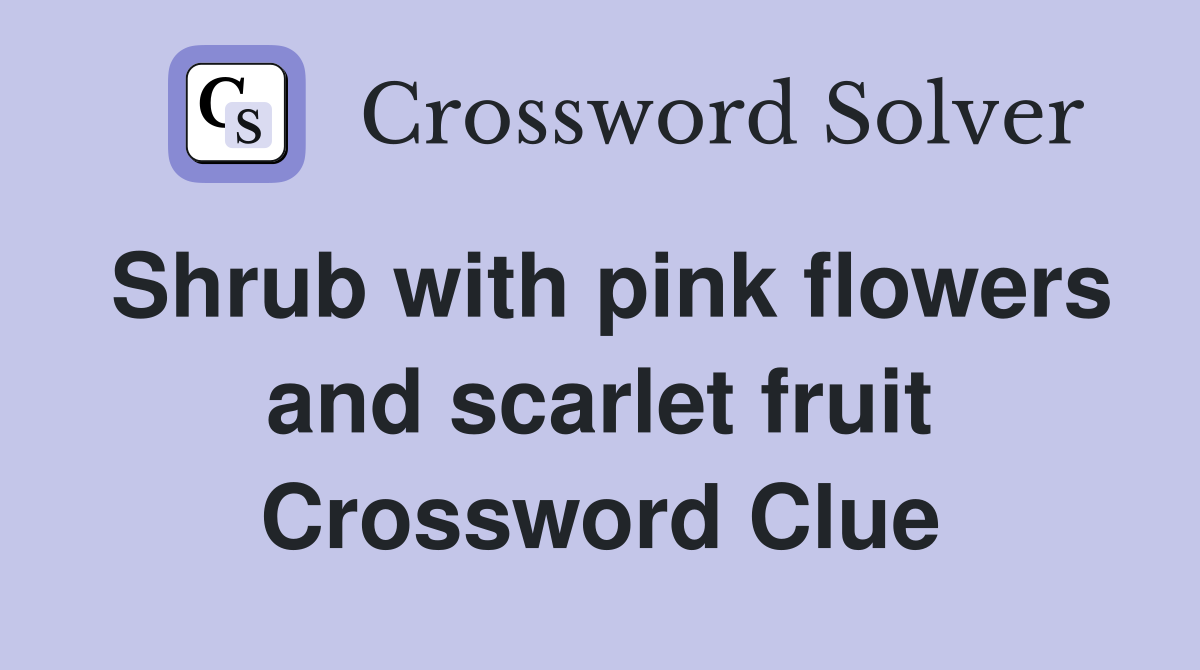 Shrub with pink flowers and scarlet fruit Crossword Clue