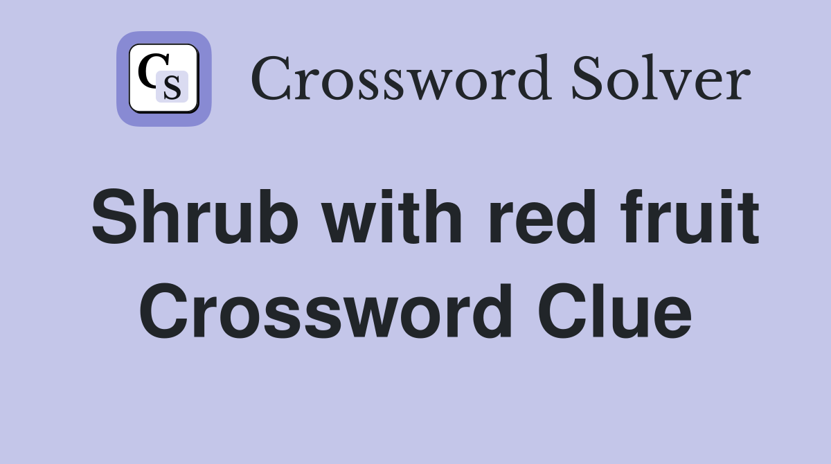 Shrub with red fruit Crossword Clue