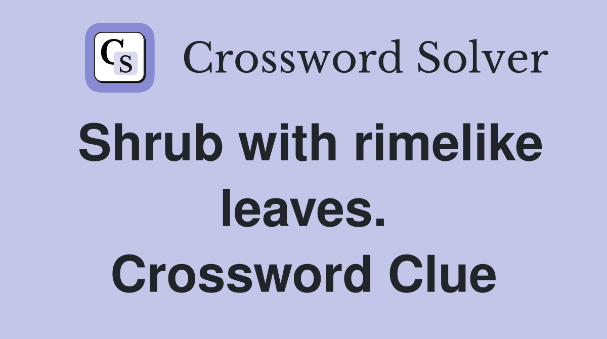 Shrub with rimelike leaves. Crossword Clue