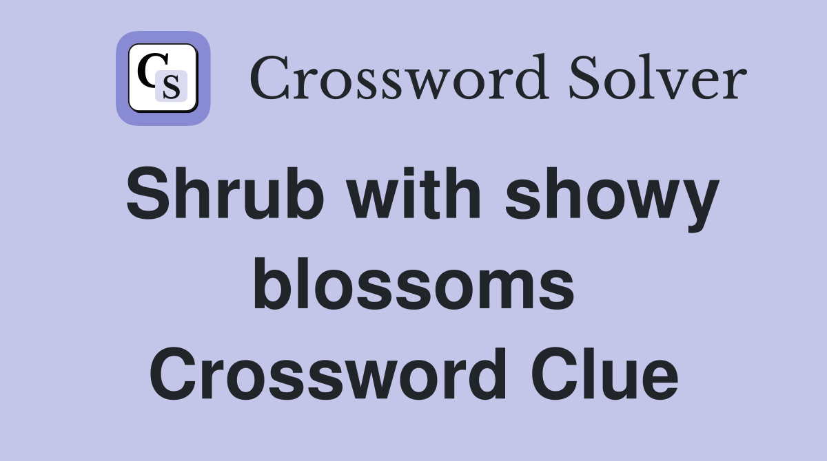 Shrub with showy blossoms Crossword Clue