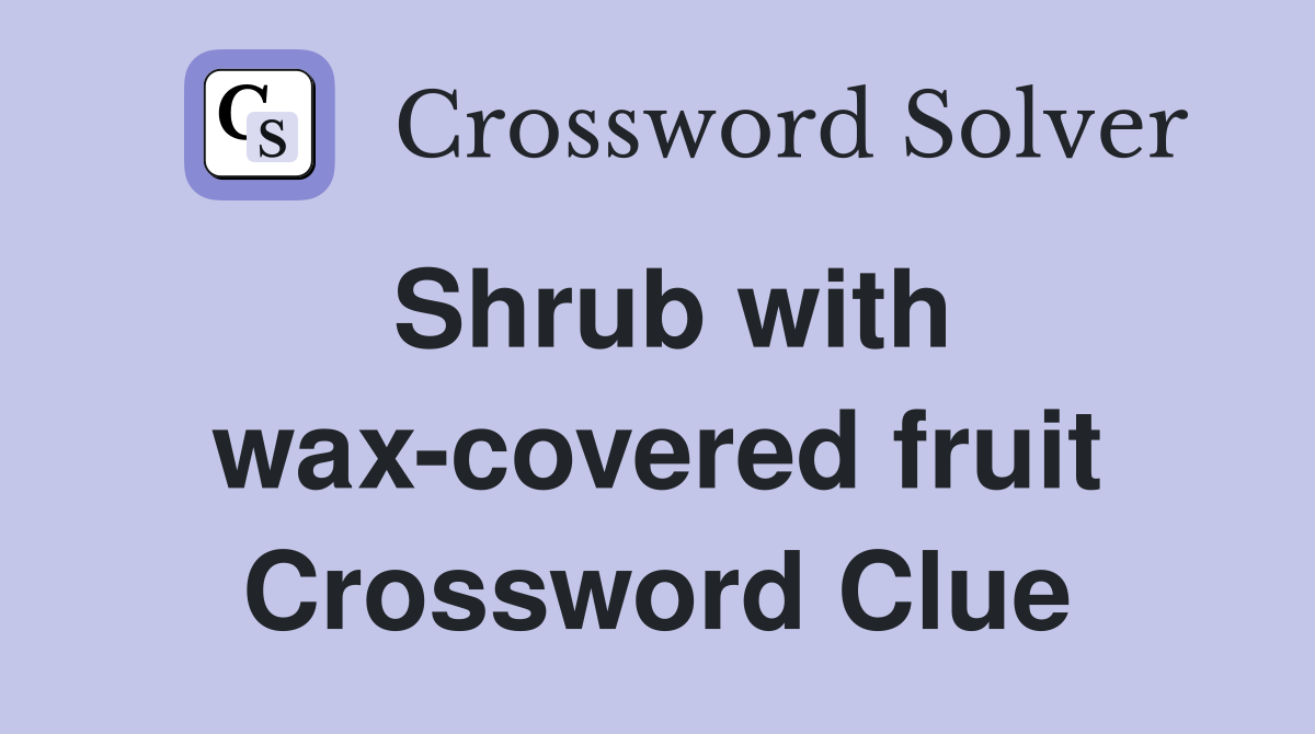 Shrub with wax-covered fruit Crossword Clue