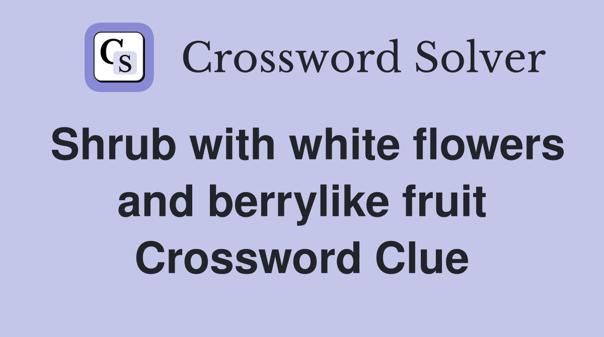 Shrub with white flowers and berrylike fruit Crossword Clue