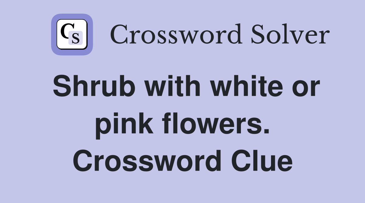 Shrub with white or pink flowers. Crossword Clue