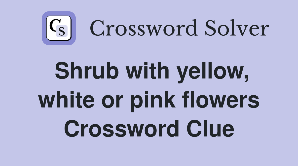 Shrub with yellow, white or pink flowers Crossword Clue