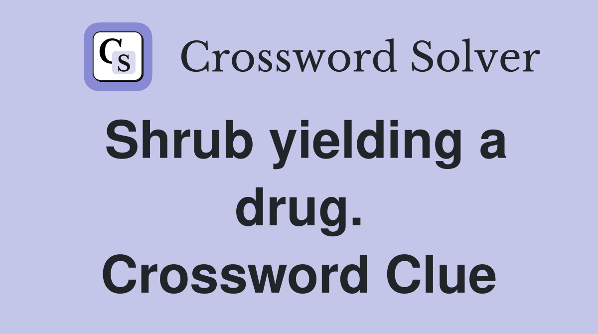 Shrub yielding a drug. Crossword Clue