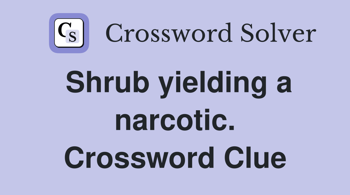 Shrub yielding a narcotic. Crossword Clue