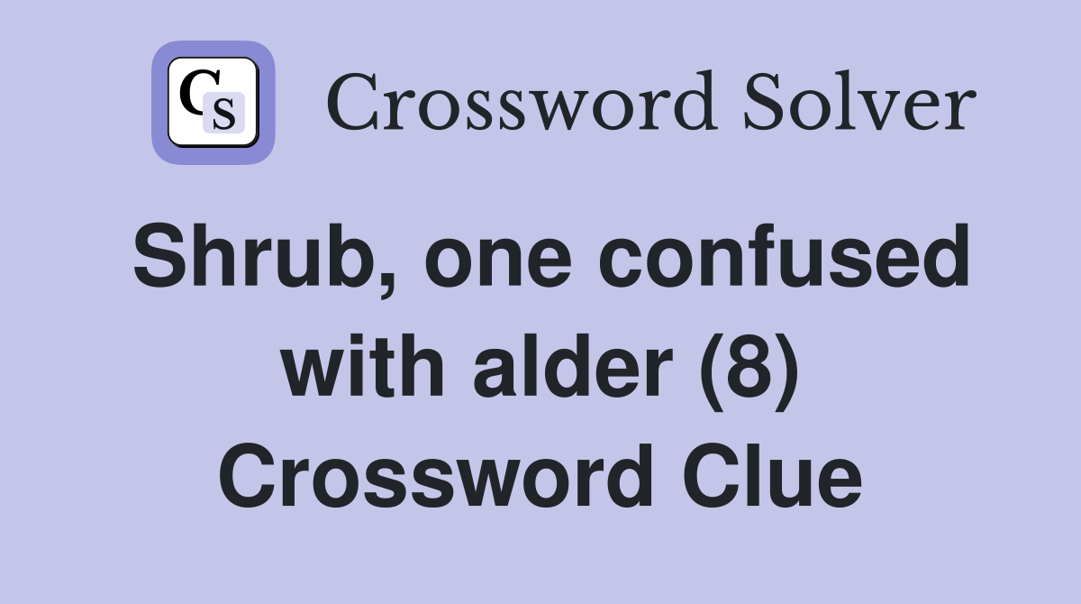 Shrub, one confused with alder (8) Crossword Clue