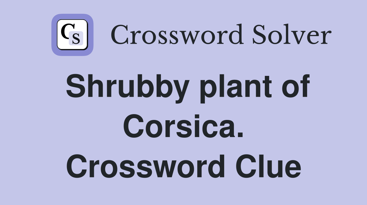 Shrubby plant of Corsica. Crossword Clue