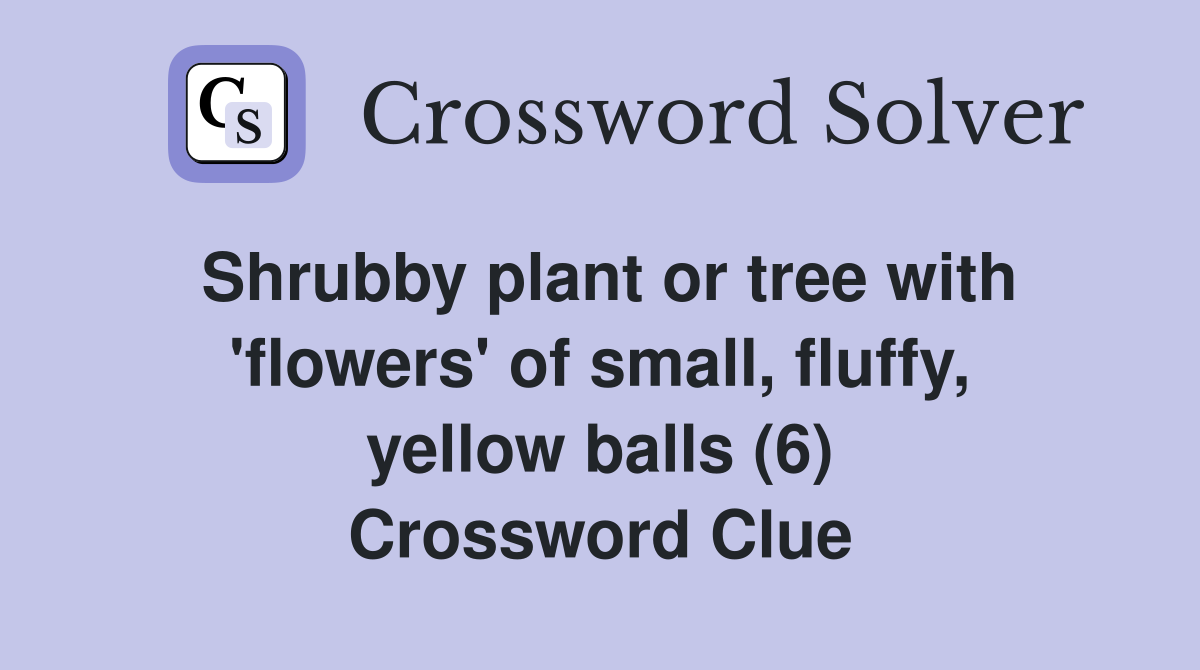 Shrubby plant or tree with 'flowers' of small, fluffy, yellow balls (6) Crossword Clue