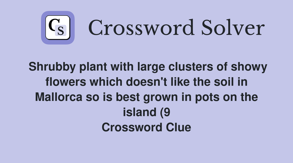 Shrubby plant with large clusters of showy flowers which doesn #39 t like Shrubby plant with large clusters of showy flowers which doesn #39 t like
