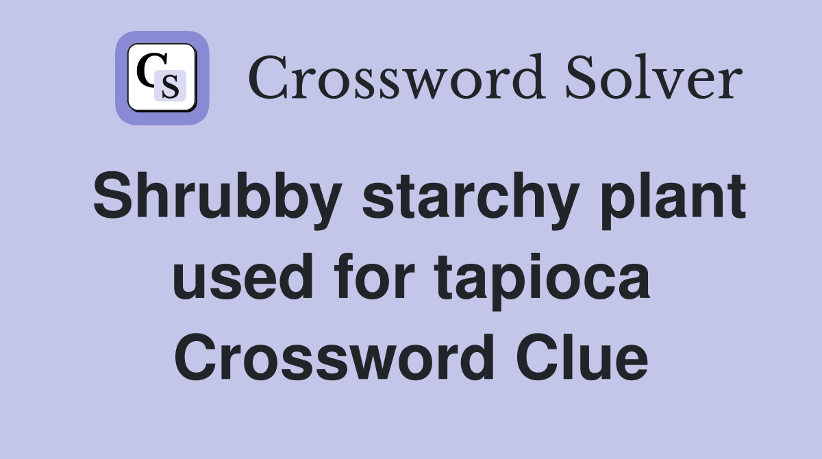 Shrubby starchy plant used for tapioca Crossword Clue