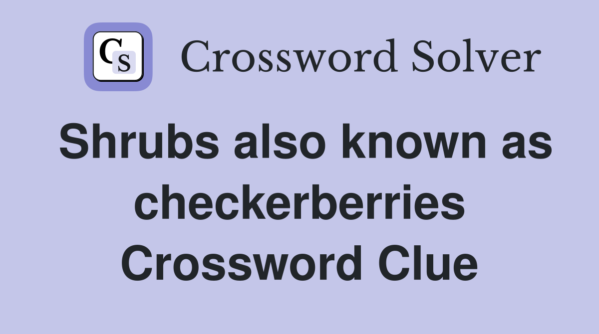 Shrubs also known as checkerberries Crossword Clue