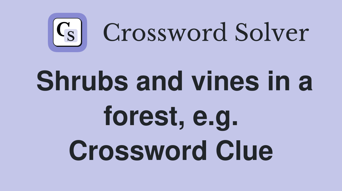 Shrubs and vines in a forest, e.g. Crossword Clue