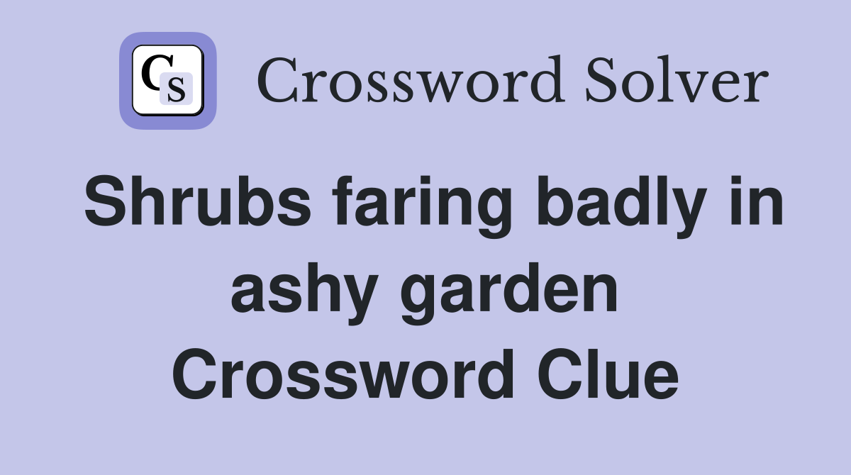 Shrubs faring badly in ashy garden Crossword Clue