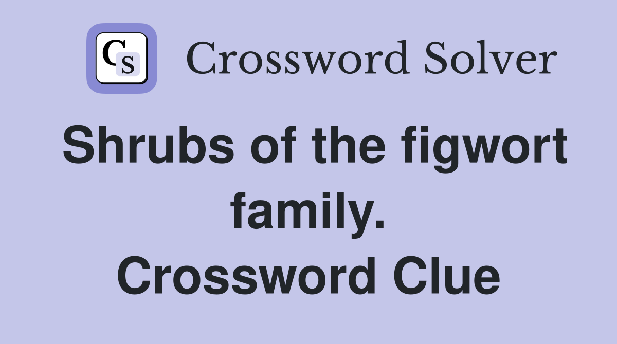 Shrubs of the figwort family. Crossword Clue