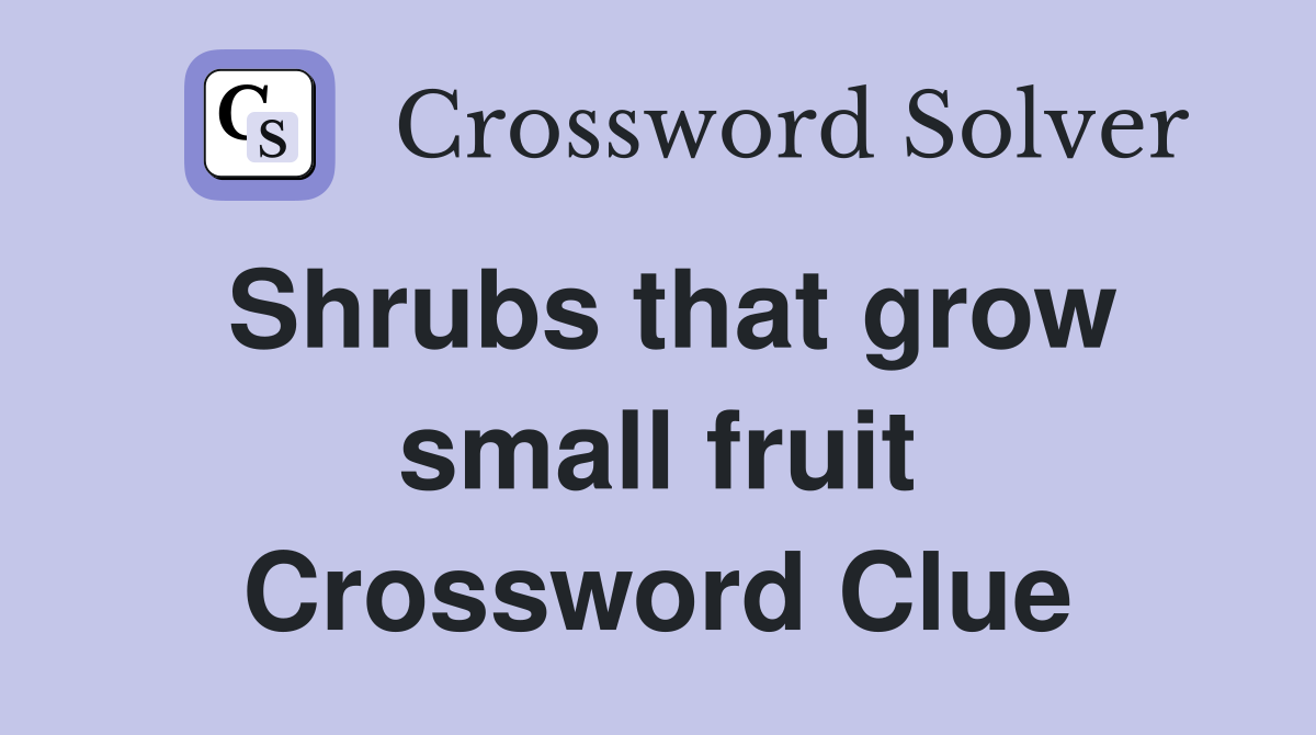 Shrubs that grow small fruit Crossword Clue