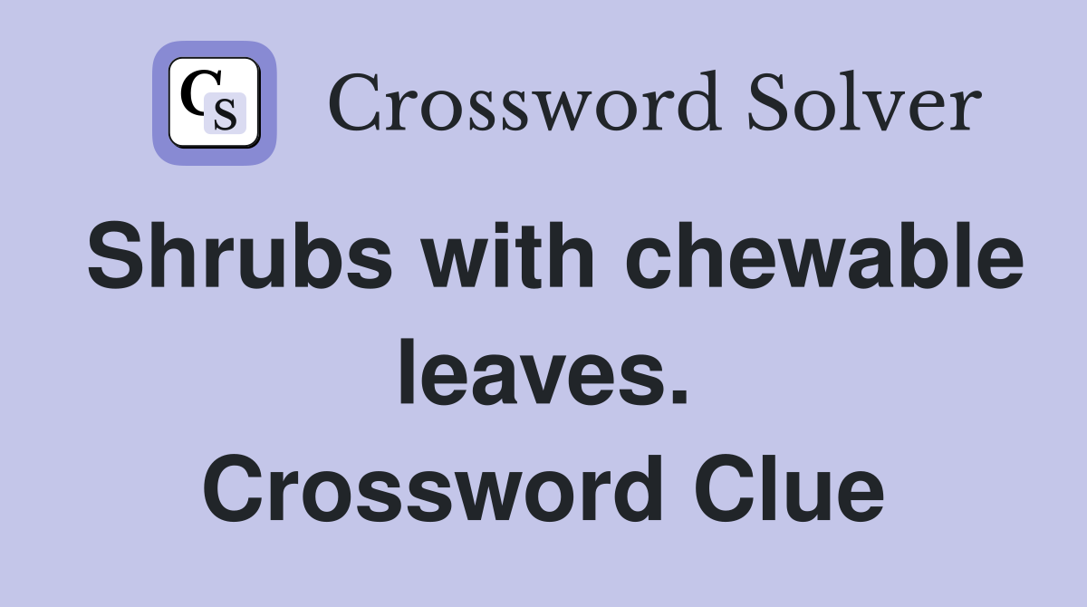 Shrubs with chewable leaves. Crossword Clue