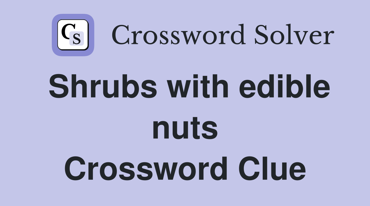 Shrubs with edible nuts Crossword Clue